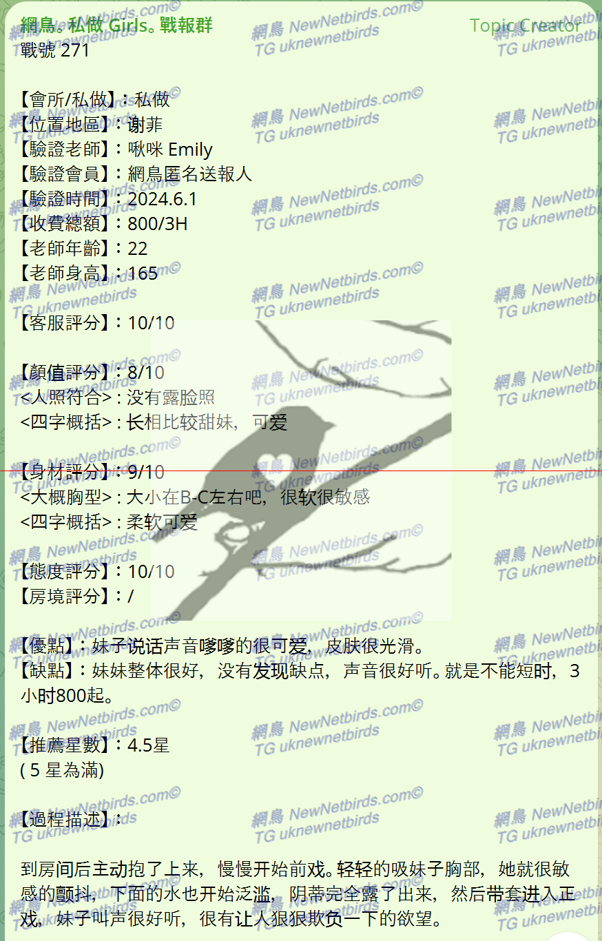 戰號 271 2.png